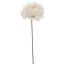 MINI MUM 22CM CREAM