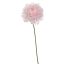 MINI MUM 22CM PINK