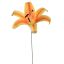 LILY HEAD K.D PACKING 20CM YELLOW
