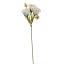 ROSE PICK X3 20CM CREAM