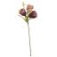 ROSE PICK X3 20CM LILAC