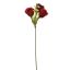 ROSE PICK X3 20CM RED