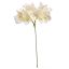 HYDRANGEA PICK 20CM CREAM