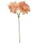 HYDRANGEA PICK 20CM PEACH