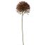 ALLIUM PICK 23CM PURPLE