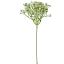 GYPSO PICK 23CM CREAM