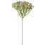 GYPSO PICK 23CM PINK