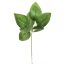 LARGE ROSE LEAF PICK 20CM GREEN