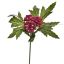 BERRY PICK 14CM BURGUNDY