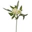 BERRY PICK 14CM CREAM