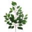 BASIC FICUS SPRAY 42LVS 60CM GREEN