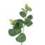 EUCALYPTUS PICK 12CM GREEN