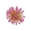 MUM HEAD ON STEM 8 CM LAVENDER