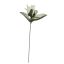 ROSE BUD W/LVS ON STEM CREAM