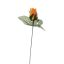 ROSE BUD W/LVS ON STEM SALMON