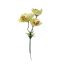 ORCHID PICK X 3 GREEN