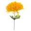 MUM PICK YELLOW
