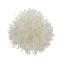 MUM HEAD CREAM