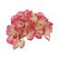 MEDIUM HYDRANGEA HEAD BEAUTY