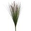 GRASS BUSH W/FOXTAIL 60CM BURGUNDY