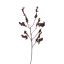BERRY SPRAY 95CM BROWN
