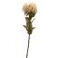 PROTEA SPRAY 73CM VANILLE