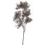 CORAL SPRAY 55CM BROWN