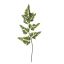 SMALL FERN LEAF 60CM GREEN
