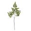 MEDIUM FERN LEAF 69CM GREEN