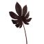 ARALIA LEAF 65CM BURGUNDY