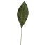 LARGE BURCHELLIA LEAF 132CM GREEN