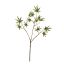 MAPLE LEAF PICK 52CM GREEN