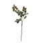 HAZELNUT SPRAY 98CM DARK GREEN