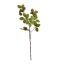 HAZELNUT SPRAY 98CM GREEN