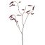AMARANTHUS SPRAY 90CM BURGUNDY