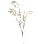 AMARANTHUS SPRAY 90CM CREAM