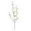 CRASSULA LEAF SPRAY 85CM LIGHT GREEN