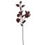 EUCALYPTUS SPRAY 76CM BURGUNDY
