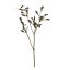MISTLETO SPRAY 72CM GREY