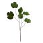 PUMPKIN LEAF SPRAY X 6 120CM GREEN