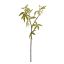 PLASTIC LEAVES SPRAY 59CM GREEN