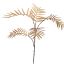 CHAMAEDOREA SPRAY X5 77CM LIGHT BROWN