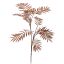 CHAMAEDOREA SPRAY X10 DARK BROWN