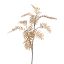 CHAMAEDOREA SPRAY X10 LIGHT BROWN