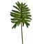 PHILODENDRON SELLOUM LEAF 90CM GREEN