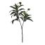 MAGNOLIA LEAVES SPRAY W/4 FRUITS 105CM GREEN