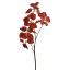COTTINUS SPRAY X3 90CM RED