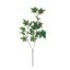 IVY SPRAY X 2 65CM HOLLAND IVY