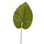 LARGE LEAF TARO LEAF 55CM