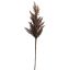 LARGE SINGLE PLUM 90CM BROWN